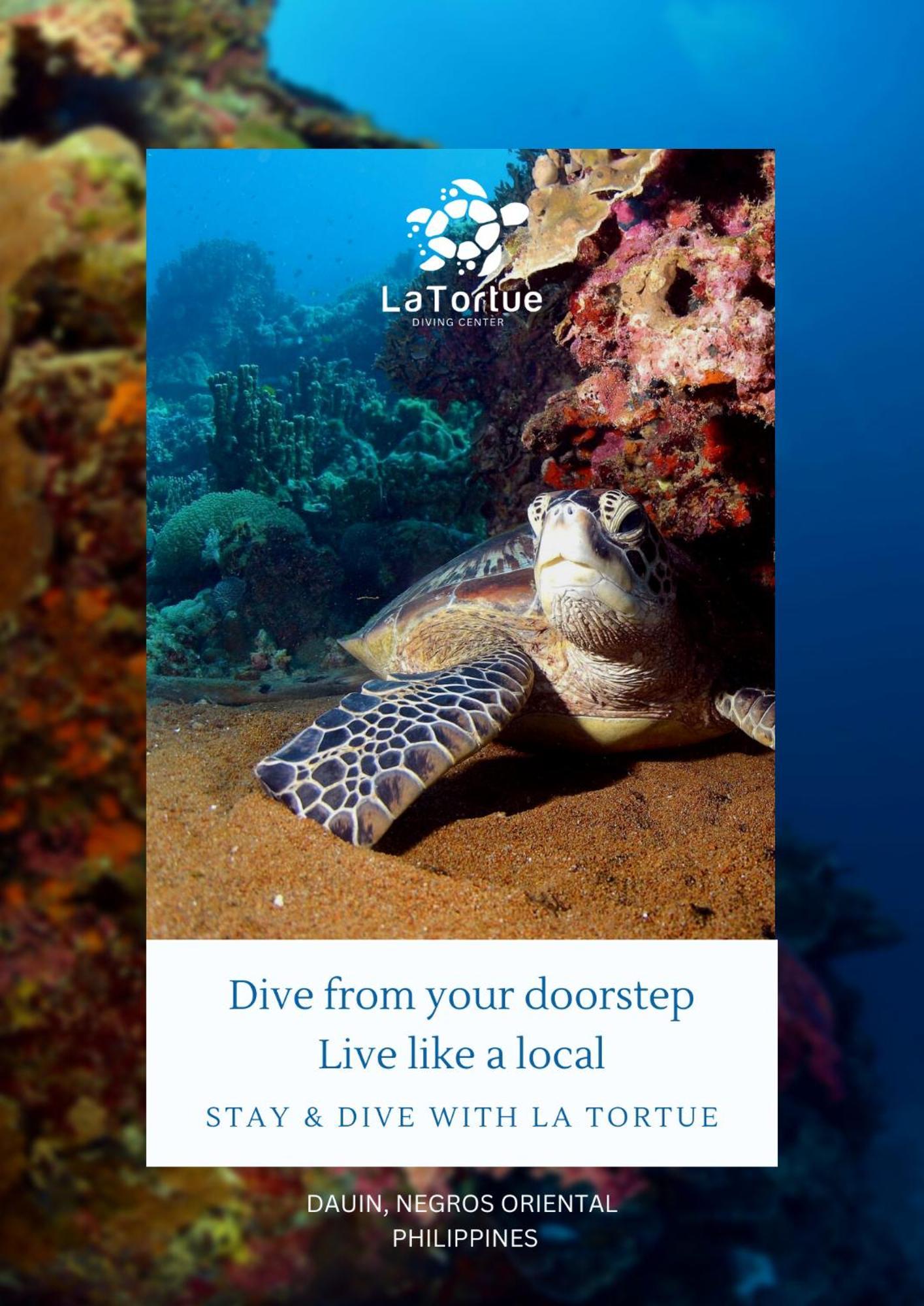 La Tortue Diving Resort Dauin Exterior photo